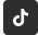 Tiktok Icon