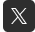X Icon
